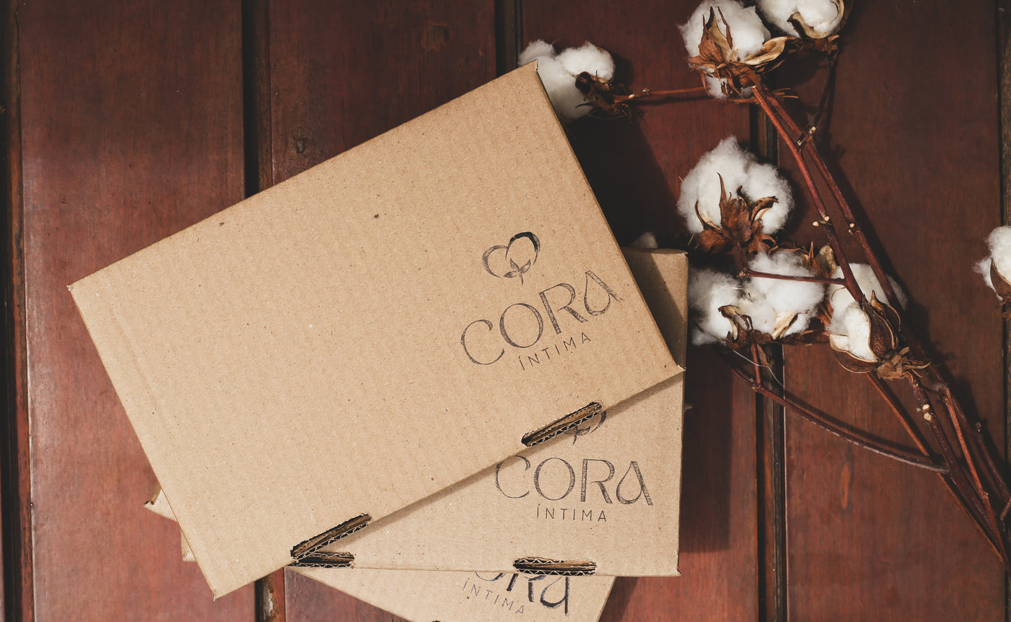 Kit Conforto Diário: 3 Calcinhas de Algodão Orgânico Femininas